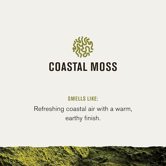Every Man Jack Nourishing Coastal Moss Mens Body Wash for All Skin Types - Naturally Derived Ingredients - Cleanse and Hydrate Skin with Coconut and Glycerin - 24oz 2 Bottles-VeraVaultWomen