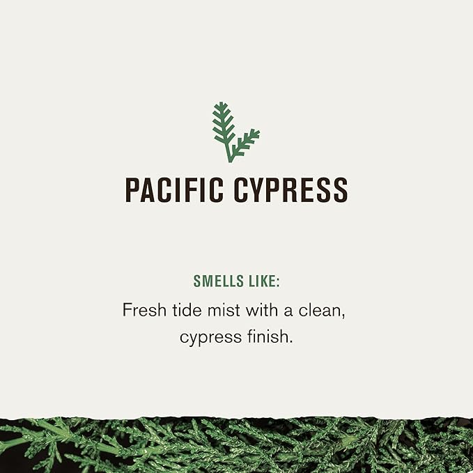 Every Man Jack Nourishing Pacific Cypress Mens Body Wash for All Skin Types - Naturally Derived Ingredients - Cleanse and Hydrate Skin with Coconut and Glycerin - 24oz 2 Bottles-VeraVaultWomen