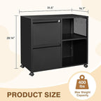 Lateral 2 Drawer Filing Cabinet with Lock, Mobile File Cabinet on Wheels, Printer Stand with Storage for Legal/Letter/A4 File Folders (Blcak)