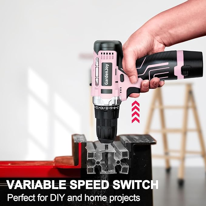 GardenJoy Cordless Power Drill Set: 12V Electric Drill with Battery and Charger, 65pcs Acessories, 3/8"Keyless Chuck, 2 Variable Speed, 24+1 Position, Compact Drill Driver Kit for Home & DIY Project